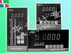 HS-XMTA智能数字（光柱）显示调节仪