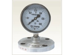 销售YTPN-100MF不锈钢隔膜压力表（质优价廉)