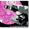 CX2系列显微镜使用的UIS光学系统