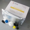 人TNF-β试剂盒