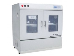 BS-1102C立式小容量恒温振荡培养摇床