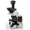 OLYMPUS BX53生物显微镜