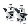 OLYMPUS倒置显微镜CKX31-A11RC