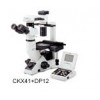 奥林巴斯CKX41-A32PH显微镜