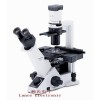 奥林巴斯双目倒置显微镜CKX41-A22PHP