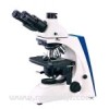 BK5000生物显微镜，生物显微镜厂家，生物显微镜价位