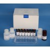 维生素C酶联免疫反应检测试剂盒REAGEN，美国进口