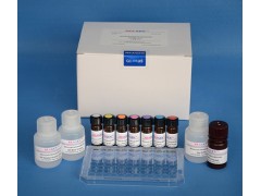 氟喹诺酮类酶联免疫反应测试盒REAGEN，美国进口，牛奶