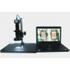 供应500万像素 视频显微镜 可测量  数码显微镜