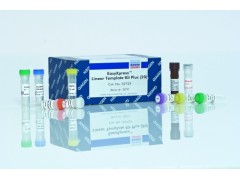 QIAamp DNA FFPE Tissue Kit