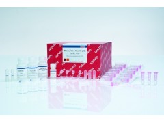 QIAamp DNA Mini Kit (250)