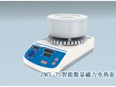 ZNCL-TS智能数显磁力搅拌电热套厂家