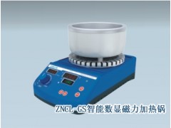 ZNCL-GS智能数显磁力加热锅，智能数显磁力搅拌器价格