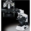 奥林巴斯显微镜CX21