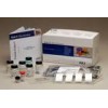 胆囊收缩素， 肠促胰酶肽 ，CCK ，检测试剂盒