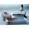 胎盘碱性磷酸酶 ，PLAP，检测试剂盒