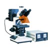 上海缔伦CFM-300荧光显微镜价格