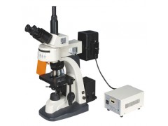 上海缔伦CFM-200荧光显微镜价格