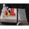 小鼠Ⅰ型胶原C端肽，CTX-Ⅰ，检测试剂盒