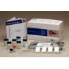 鸡甲状腺素，T4，检测试剂盒