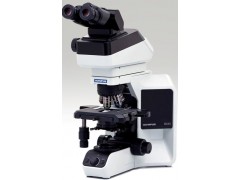 奥林巴斯三目显微镜BX43-32P01HAL