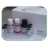 大鼠白介素1可溶性受体Ⅱ，IL-1sRⅡ，检测试剂盒