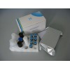 小鼠L选择素，L-Selectin，CD62L检测试剂盒