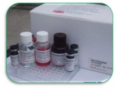 胰酶细胞消化液
