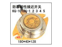 矿用防爆磁性开关KG1010G-1-12技术参数
