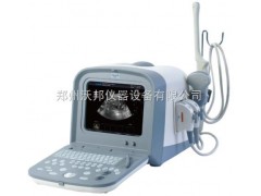 TH-100全数字便携诊断系统郑州供应