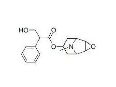 东莨菪碱,东莨菪碱标准品,东莨菪碱价格