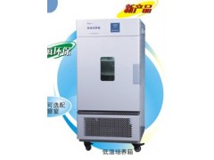 LRH-150CB 上海一恒低温培养箱 微生物培养保存箱