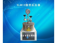 天津微型高压反应釜，微型高压反应釜性能参数