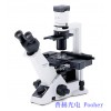 奥林巴斯三目倒置显微镜CKX41A32PH（相差显微镜）