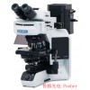 奥林巴斯生物荧光显微镜BX53