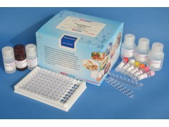 链霉素检测试剂盒，美国进口链霉素试剂盒