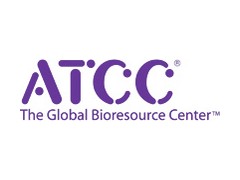 ATCC 13032 谷氨酸棒杆菌  ATCC 菌种