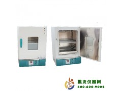 电热恒温干燥箱（202系列）202-0A
