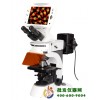 一体化数码液晶荧光显微镜DMS-854