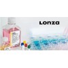 LONZA公司的特殊培养基、常规培养基