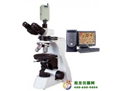 三目透射偏光显微镜XP-550C