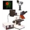 正置荧光显微镜  荧光显微镜 HAD-DFM-30D