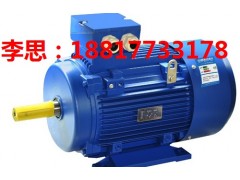 YX3电机,上海YX3电机,YX3-160L-2-18.5KW电机价格