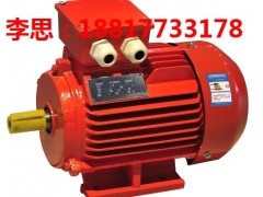 YX3系列电机,上海YX3系列电机,YX3-100L1-4-2.2KW电机价格