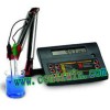CEN-HI254A 实验室酸度测定仪/pH测定仪/ORP测定仪/温度测定仪 意大利