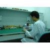 广州从化仪器校准公司|从化仪器校正服务|从化仪器校验机构