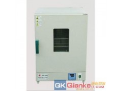 上海电热恒温鼓风干燥箱DHG-9140A