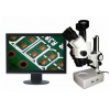 辽宁体视显微镜、辽宁体视显微镜价格、辽宁体视显微镜ME61