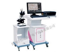 精子分析仪XD-6000X，男性精液分析仪价格