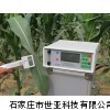 光合仪，植物光合作用测定仪，河北光合仪，北京光合仪